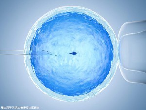 陈主任